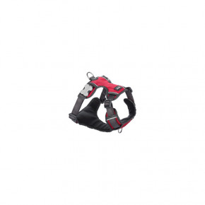    RedDingo Padded Harness S - 1.5*37-52  