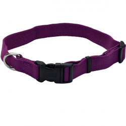     Coastal New Earth Soy Dog Collar  XS