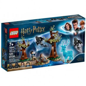  Lego  ! (75945)