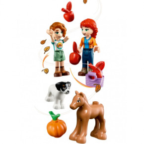  LEGO Friends   (41730) 10