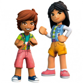  Lego Friends   (41723) 9