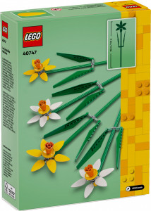  Lego Iconic  (40747) 3