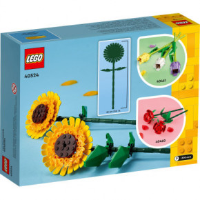  LEGO Iconic  (40524) 4