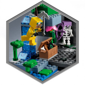  LEGO Minecraft   (21189) 9