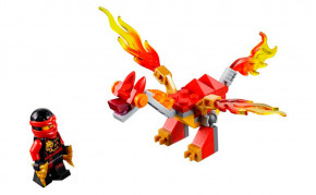  Lego Ninjago   (30422) 3