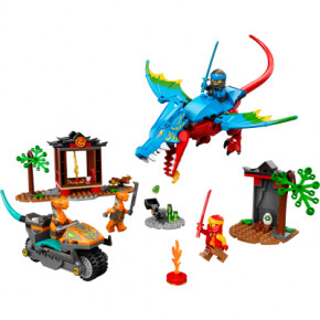  Lego Ninjago  - (71759) 10