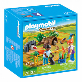  Playmobil     (6336504)