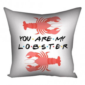    3030  You are my lobster (3P_DR012)