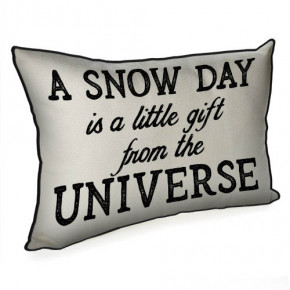    4532  A snow day is a little gift from the universe 43PHB_21NG003