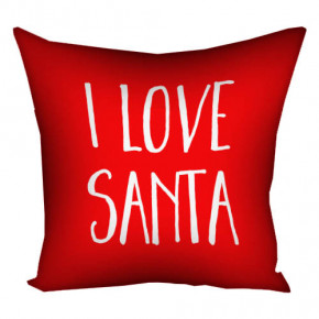    40x40  I love Santa (4P_23NG008)