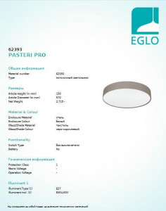  Eglo PASTERI PRO 62393 3