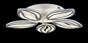   LK23/5 LED (WT) 6