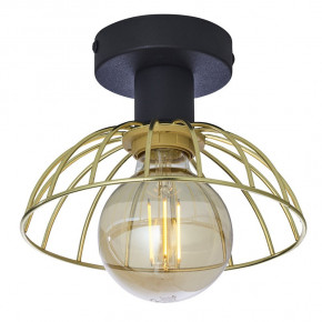  Tk Lighting 2317 Siena 