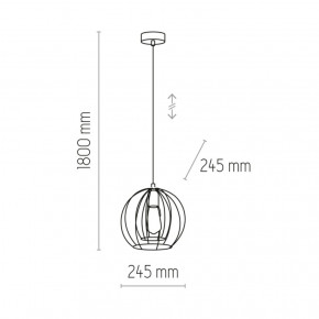  TK LIGHTING 6251 JAULA 5