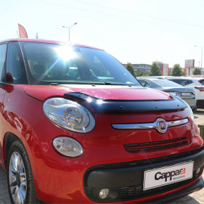   ()  Fiat 500L (Գ 500) 30290115