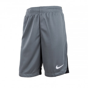  Nike Y NK DF ACDPR SHORT KS (DH9287-084)