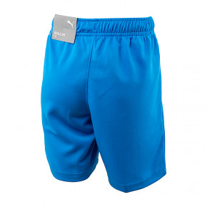  Puma teamRISE Short Jr 116 (70494302) 3