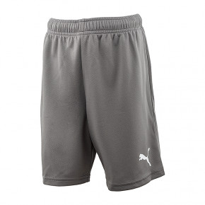  Puma teamRISE Short Jr 110 (70494313)