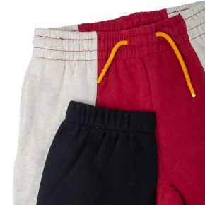  JORDAN PAPRIKA FLC PANT L (95B774-R2S) 4