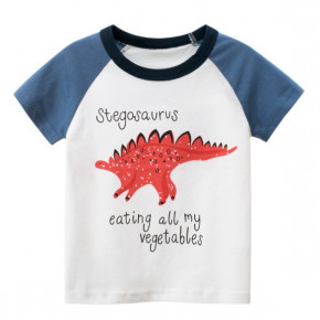    Stegosaurus 27 KIDS (100)  (55222000102)