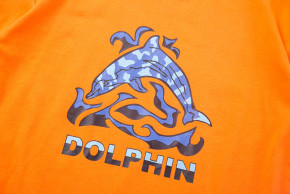   Dolphin,  Bronco (120) / (52856000267000112)