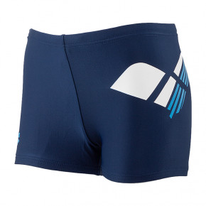  Arena BOYS SWIM SHORT LOGO 8 (005331-700)