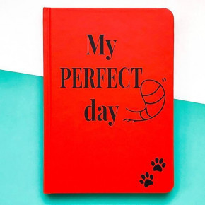        Diary My perfect day    