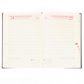  Leo planner 5  Persona  PU 352   (251936) 6