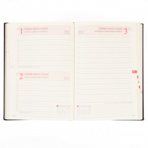  Leo planner 5  Persona  PU 352   (251936) 7