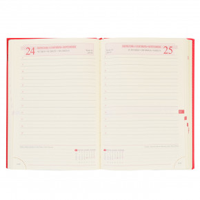  Leo planner 5  Persona  PU 352   (251937) 5