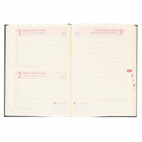  Leo planner 5  Persona  PU 352   (251939) 4