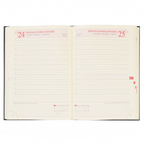  Leo planner 5  Persona  PU 352   (251939) 6