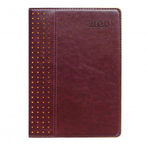  Leo planner 5 Destiny PU 384   (251948) 7