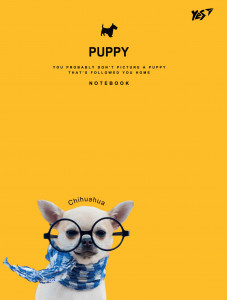  140*185/64 . . Puppy YES (151481) 5