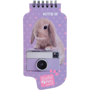    Kite 50 Studio Pets (SP22-465)