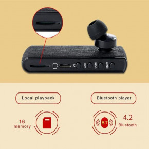       Bluetooth  Waytronic WT-R12 5