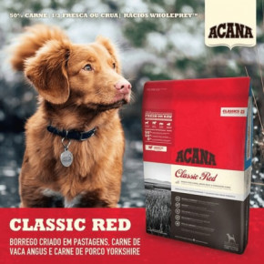    Acana Classic Red 17kg (a56117) 4