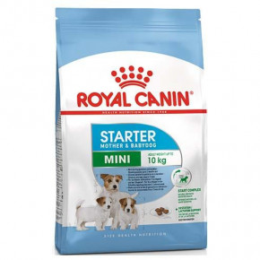   Royal Canin Mini Starter     , 3  127993