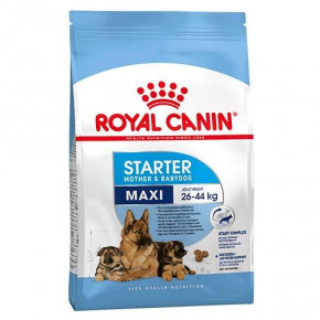   Royal Canin Maxi Starter     , 4  38493