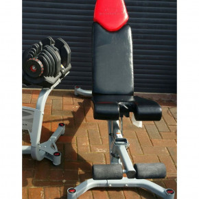      Bowflex SelectTech 1090i 10