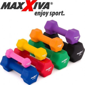  Maxxiva D84987  2 x 3  (M-11233979) 8