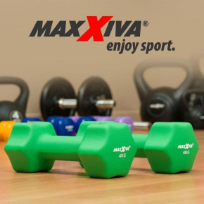  Maxxiva D84988  2 x 4  (M-11248034) 8