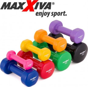  Maxxiva D85015  2 x 2,5  (M-11280190) 4