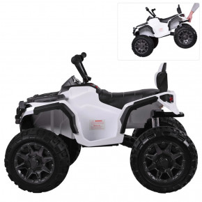    Bambi Racer M 3156EBLR-1  30   3