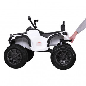    Bambi Racer M 3156EBLR-1  30   5