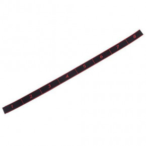   Record Elastiband FI-1719  (56429295) 3