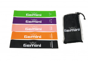    EasyFit Gemini  5 