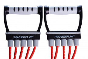   PowerPlay 4101 4