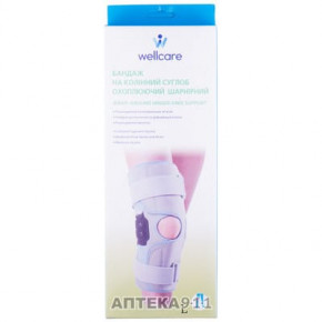     WellCare  52013    L