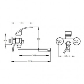    Potato P2207B